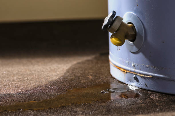South Rosemary, NC Water damage restoration Company