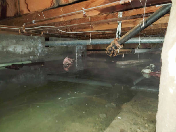 Best 24-hour water damage restoration  in South Rosemary, NC