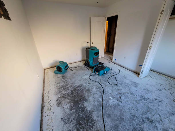 Fire Damage Restoration in South Rosemary, NC