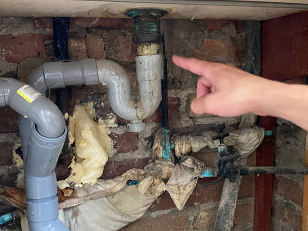 Carpet water damage restoration in South Rosemary, NC